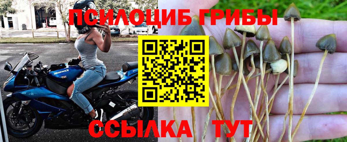 Псилоцибиновые грибы ЛСД  Вход с VPN  Баксан 